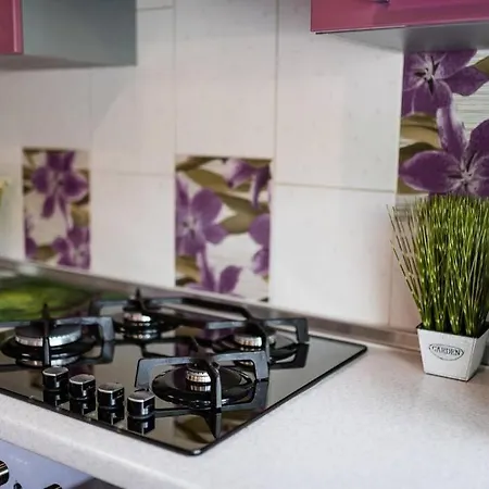 Apartment дизайнерська у центрі міста Uschhorod